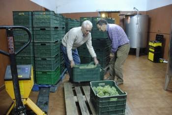 Dos trabajadores recogen las cajas con uva recién vendimiada en una bodega de Petín. (Foto: LUIS BLANCO)