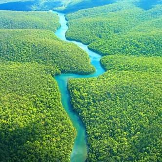 Con sus 6.992 km., el Amazonas es el río más largo del mundo