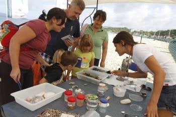 Los niños mostraron su sorpresa al contemplar de cerca los tesoros de la biodiversidad marina que habitan en las playas en los que ellos se bañan. (Foto: J.V.LANDIN)