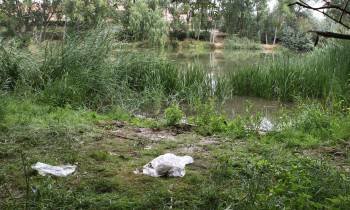 Zona del río Duero, a su paso por Logroño, donde fue localizado el cuerpo del bebé. (Foto: MONTSE GALOBARDES.)