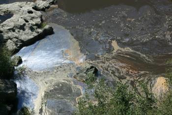 Las altas temperaturas han provocado la proliferación de algas en determinadas zonas del embalse. (Foto: JOSÉ PAZ)
