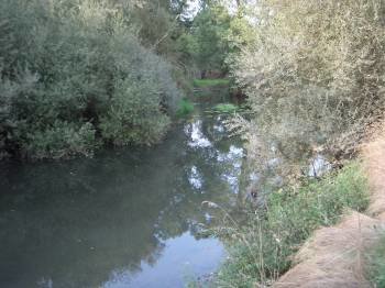 El río Támega,a la altura en que se registran los vertidos, procedentes del colector (Foto: A.R. )