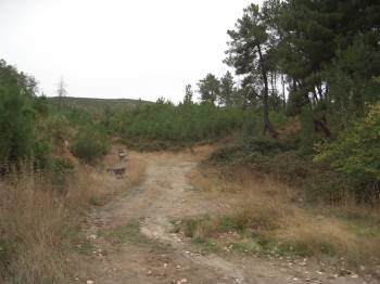 Uno de los caminos a proteger y que es utilizado habitualmente para trasportar madera. (Foto: A. R.)