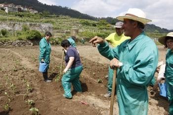Los trabajadores de Aspanas son los que trabajan ahora la tierra. (Foto: XESÚS FARIÑAS)
