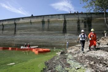 Operarios retiran algas tóxicas en el embalse de As Conchas, a finales del mes de agosto. (Foto: MARCOS ATRIO)