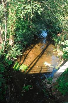 El arroyo Maquiáns, que abastece a Ribadavia (Foto: MARTIÑO PINAL)