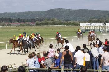 Un grupo de caballos, en la recta de meta durante la anterior jornada. (Foto: XESÚS FARIÑAS)