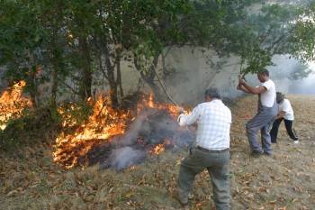 En la imagen, vecinos de O Calveliño, en Maceda, combatiendo con rastrojos el fuego que afecta en este municipio a Santiso. (Foto: JOSÉ PAZ)