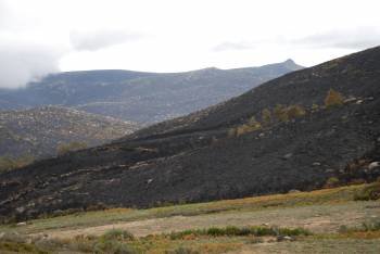En la imagen, vista panorámica de la superficie que calcinó el fuego en los montes de Manzaneda (Foto: LUIS BLANCO)