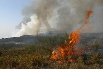 En la imagen, las llamas calcinan superficie forestal en los montes de Santirso (Maceda). (Foto: JOSÉ PAZ)