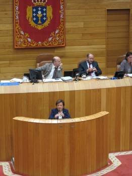 La conselleira de Sanidade, Pilar Farjas, comparece en el Parlamento. (Foto: EP)