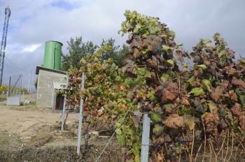 El depósito que utilizan para el riego en la Estación de Viticultura y Enología de Galicia. (Foto: MARTIÑO PINAL)