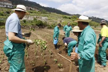 Trabajadores de Aspanas, trabajando la tierra en el municipio de Arnoia. (Foto: XESÚS FARIÑAS)