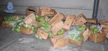 Fotografía facilitada por el Ministerio del Interior de una de las cajas de bananas en las que se ocultaban 550 kilos de cocaína que la Policía Nacional ha intervenido en el puerto de Algeciras (Foto: EFE)