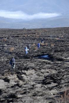 Miembros de Asaja reparten las semillas en la tierra quemada. (Foto: LUIS BLANCO)