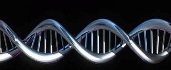 Recreación del diseño del genoma humano divulgada en el año 2001.