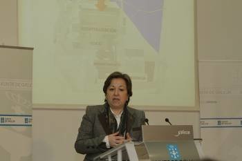 Pilar Farjas, en la rueda de prensa posterior al Consello de la Xunta, en Ourense. (Foto: MIGUEL ÁNGEL)