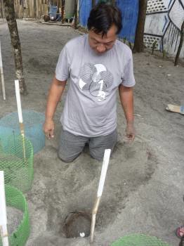 Manolo Ibias, director del centro de conservación Pawikan de Morong, localidad de la costa del Mar de China Meridional, a unos 200 kilómetros de Manila, observa un nido de tortugas marinas en la citada institución. EFE/Eric San Juan