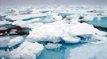 El Ártico registró en 2011 las temperaturas más altas en medio siglo (Foto: Archivo EFE)