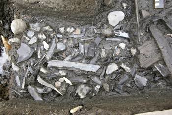 Fotografía facilitada por el Consejo Superior de Investigaciones Científicas (CSIC) de útiles de sílex encontrados en el yacimiento arqueológico (neolítico y mesolítico) encontrado en la cuenca del río Dubná, cerca de Moscú (Foto: EFE)