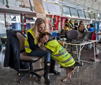 Una trabajadora de Spanair abraza a su perro, vestido con un chaleco reflectante en el aeropuerto de Bilbao, en la localidad de Loiu, momentos antes de comenzar otra protesta por el cierre de la aerolínea (Foto: EFE)
