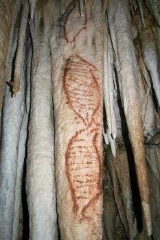 Fotografía facilitada por la Fundación Cueva de Nerja de pinturas rupestres de esta cueva que representan a focas y que podrían tener una antigüedad de al menos 42.000 años (Foto: EFE)