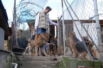 Tiberio Micu, con varios de los perros que cuida en su casa de Xagoaza (O Barco). (Foto: LUIS BLANCO)