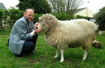  Foto cedida por el centro MRC (Centre for Regenerative Medicine) de la Universidad de Edimburgo en la que se ve a la oveja Dolly, de cuya clonación se cumplen quince años.EFE