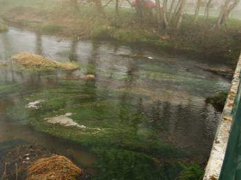 Espuma en el cauce del río Avia, en el entorno de A Quinza, en la mañana de ayer.