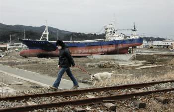 Una mujer pasea a su perro hoy, viernes, 9 de marzo de 2012, por las vías de la línea de tren de Ofunato que quedó dañada en el tsunami que inundó Kesennuma en la prefectura de Miyagi en Japón