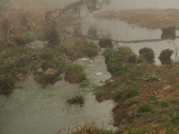 Restos de espuma, en el centro del cauce del río Avia, el pasado jueves. (Foto: LR)