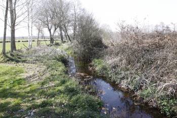 La contaminación afecta al río Freixo, en Sarreaus. (Foto: X.F.)