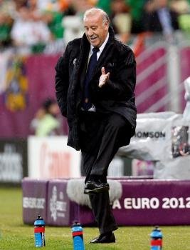 Vicente del Bosque, en un momento del partido ante Irlanda. Foto:  EFE/Juan Carlos Cárdenas