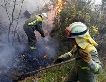 Dos brigadistas trabajan en las tareas de extinción de un incendio forestal. (Foto: ARCHIVO)