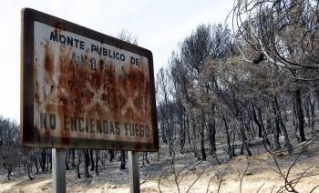 Un cartel avisa del riesgo de incendios en el monte quemado de Andilla en Valencia. (Foto: K. FÖRSTERLING)