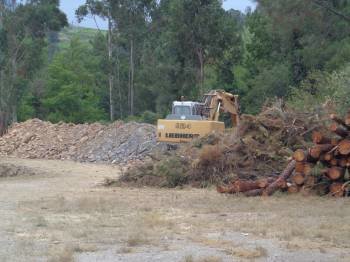 Una excavadora retira troncos y maleza del terreno que ocupará el punto limpio. (Foto: J.C.)