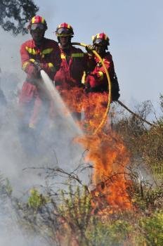 El incendio que desde el pasado día 22 ha arrasado 13.800 hectáreas en la comarca 