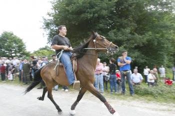 Una prueba de andadura, en una edición anterior de la 'Festa do Cabalo'. (Foto: Miguel Angel)