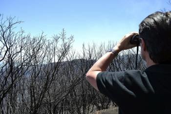 El ministro de Industria observa una de las zonas quemadas en la Gomera. (Foto: C. F.)