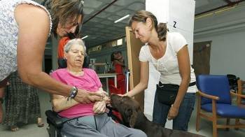 La psicóloga Elena Ojeda y la hembra de labrador trabajan con Amalia. (Foto: ARCHIVO)