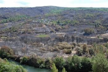 La localidad de Millarouso perdió toda su masa de árboles. El fuego rodeó todo el pueblo. (Foto: LUIS BLANCO)