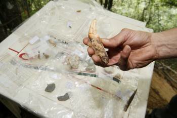 Muestra de un resto de un zarpa de oso encontrada en el yacimiento.  (Foto: ELISEO TRIGO)