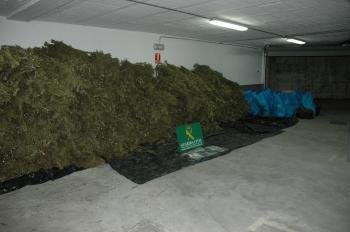 intervenidos más de 1.300 kilos de marihuana en un operativo antidroga en la provincia de Ourense