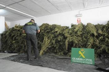 Un agente de la Guardia Civil de Tamallancos custodia el alijo de más de una tonelada de marihuana incautada en Piñor y Vilamarín.  (Foto: MARTIÑO PINAL)