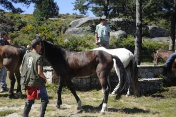 Algunos de los jinetes y caballos que acudieron ayer al Monte do Faro. (Foto: MARTIÑO PINAL)