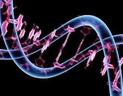 Recreación de ADN (Foto: EFE)