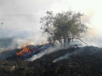 El incendio que comenzó en la tarde del miércoles en el municipio ourensano de A Gudiña quedó extinguido a las 13.19 horas