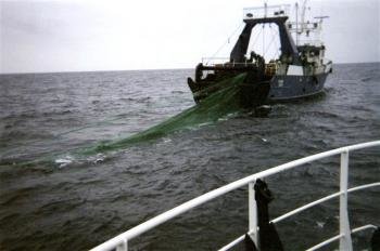 Barco de pesca faenando