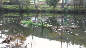 Espuma en el río Avia a su paso por el municipio de Leiro. (Foto: LR)