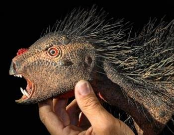 Un paleontólogo estadounidense ha identificado una nueva especie de dinosaurio enano, que pese a tener dos colmillos afilados se nutría sólo de plantas